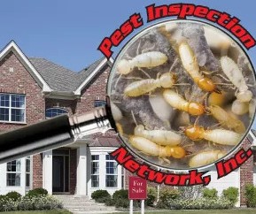 Pest inspection